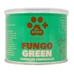 fungo green